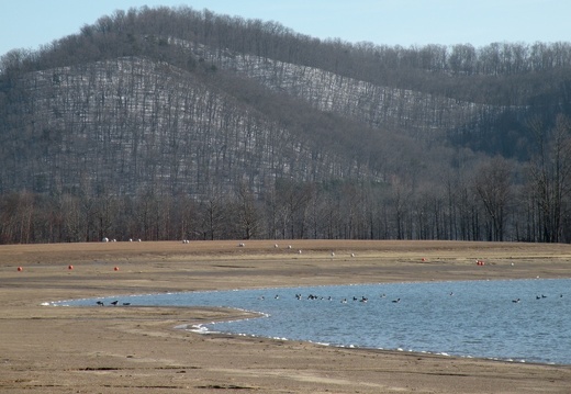 Twin Knobs Campground - 09